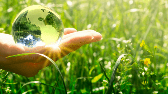 Sustainable Sustainability