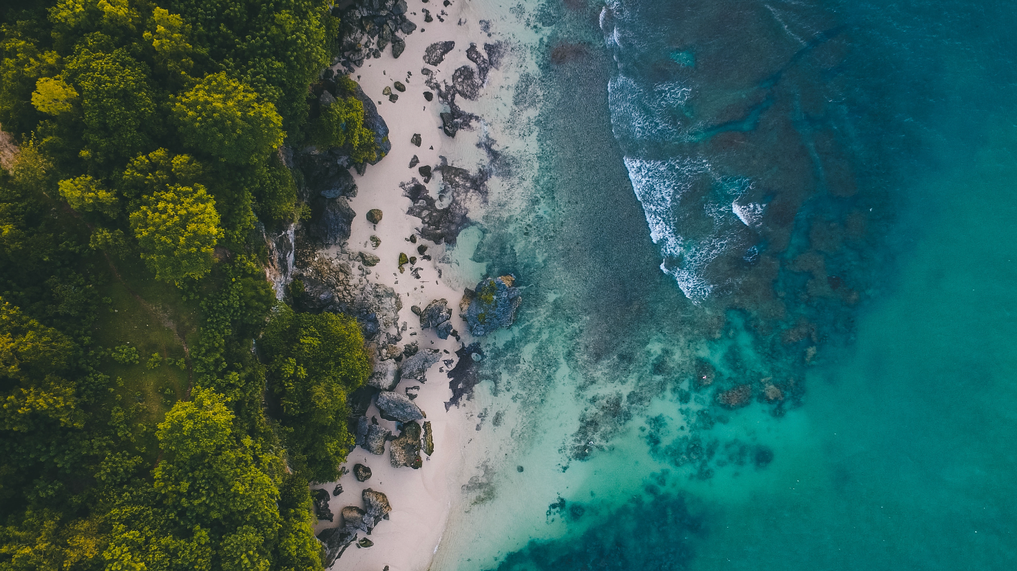 20 Thought Provoking Eco Conscious Quotes About Sustainability