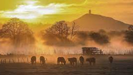 Somerset Creates a Template for Connecting Consumers Direct to Sustainable Food Producers