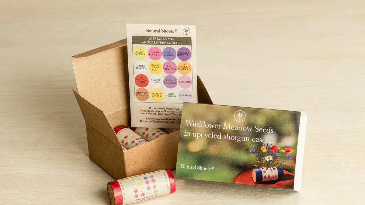 Natural Shoots Seed Kit