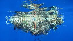 Ocean Voyages Institute