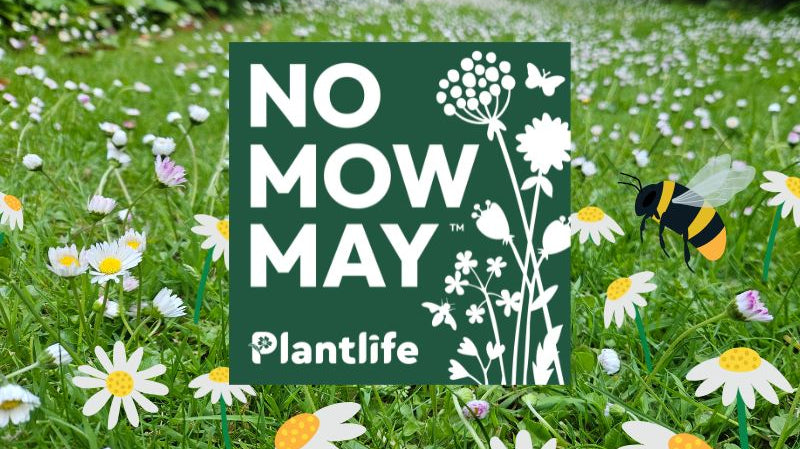 Top 10 Eco-Conscious Days of May 2026 by Ateliers Verts