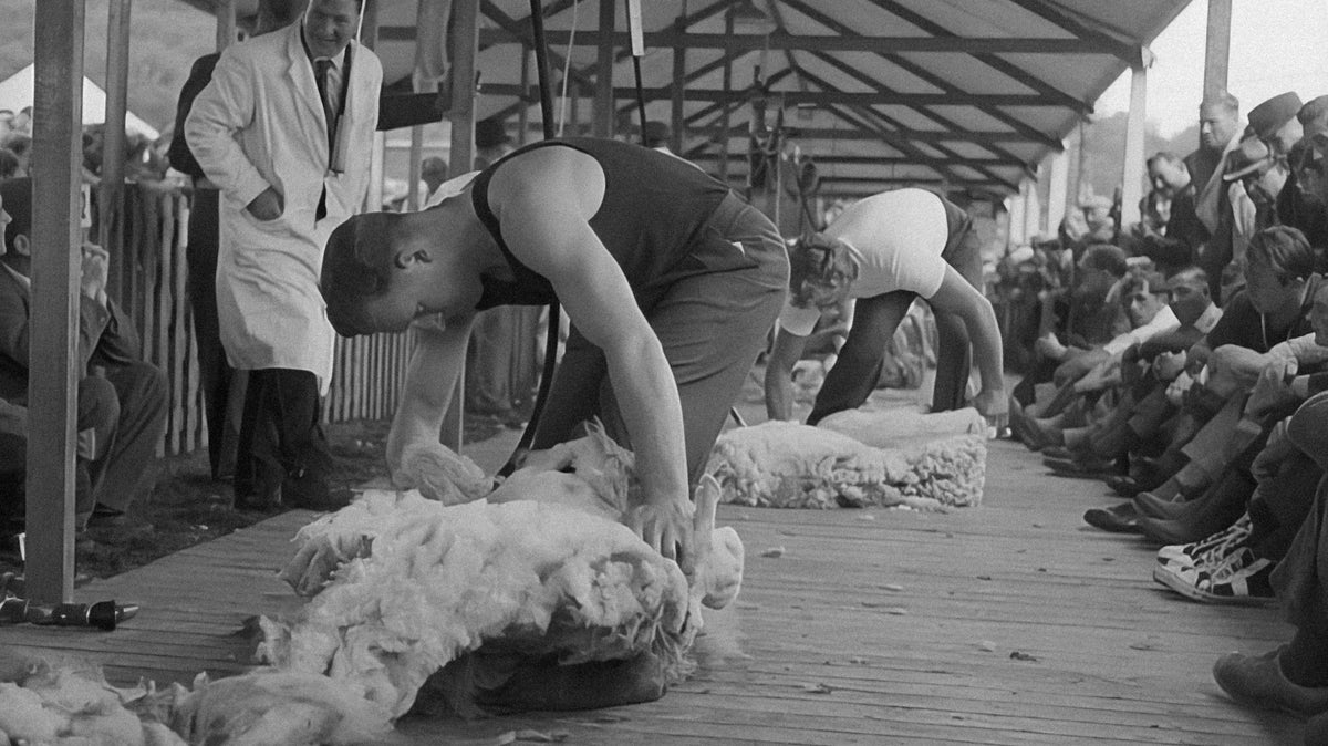 Top 10 Environmental Standards for Animal-Friendly Materials