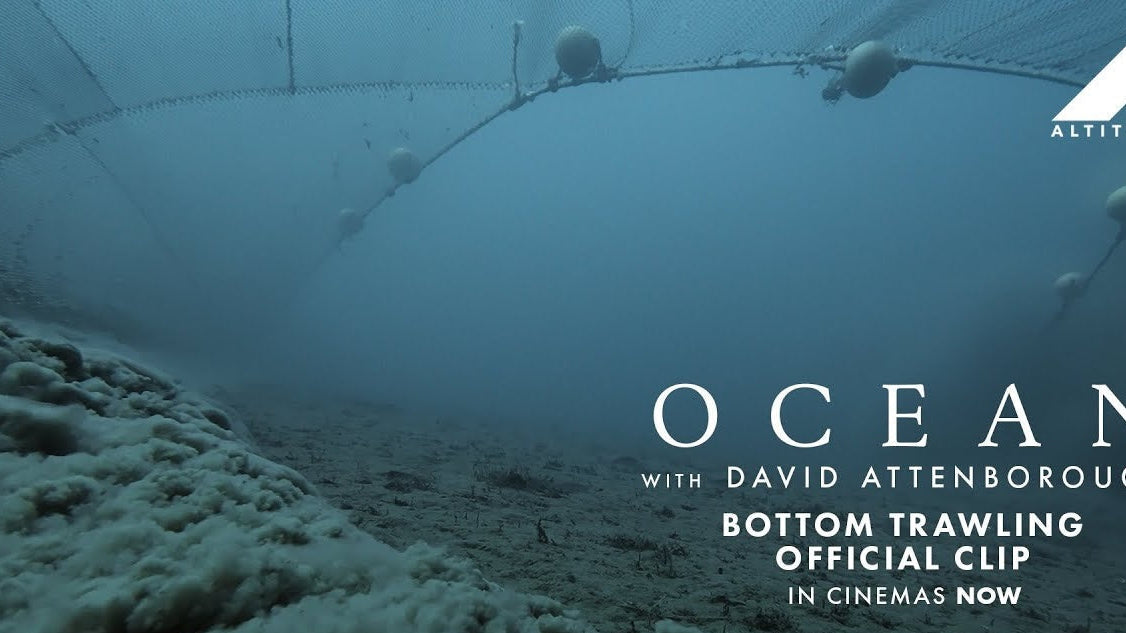 Ocean with David Attenborough is a Silverback Films and Open Planet Studios co-production, in association with All3Media International, National Geographic, and Minderoo Pictures.