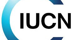 IUCN
