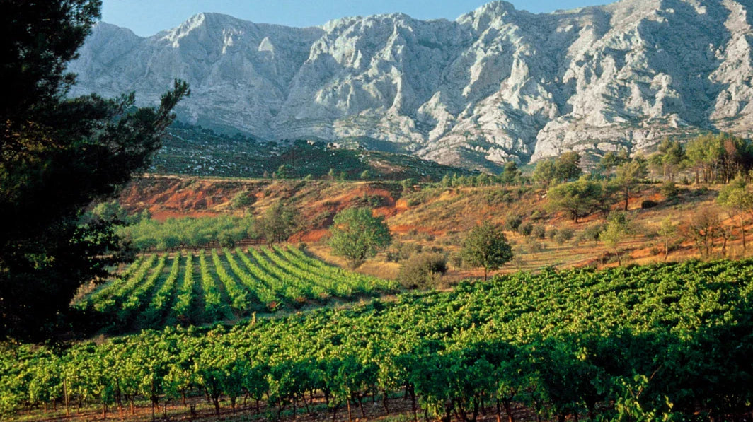 Vins de Provence - vineyard with mountain backdrop