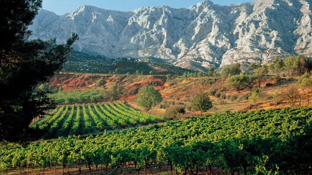 Vins de Provence - vineyard with mountain backdrop