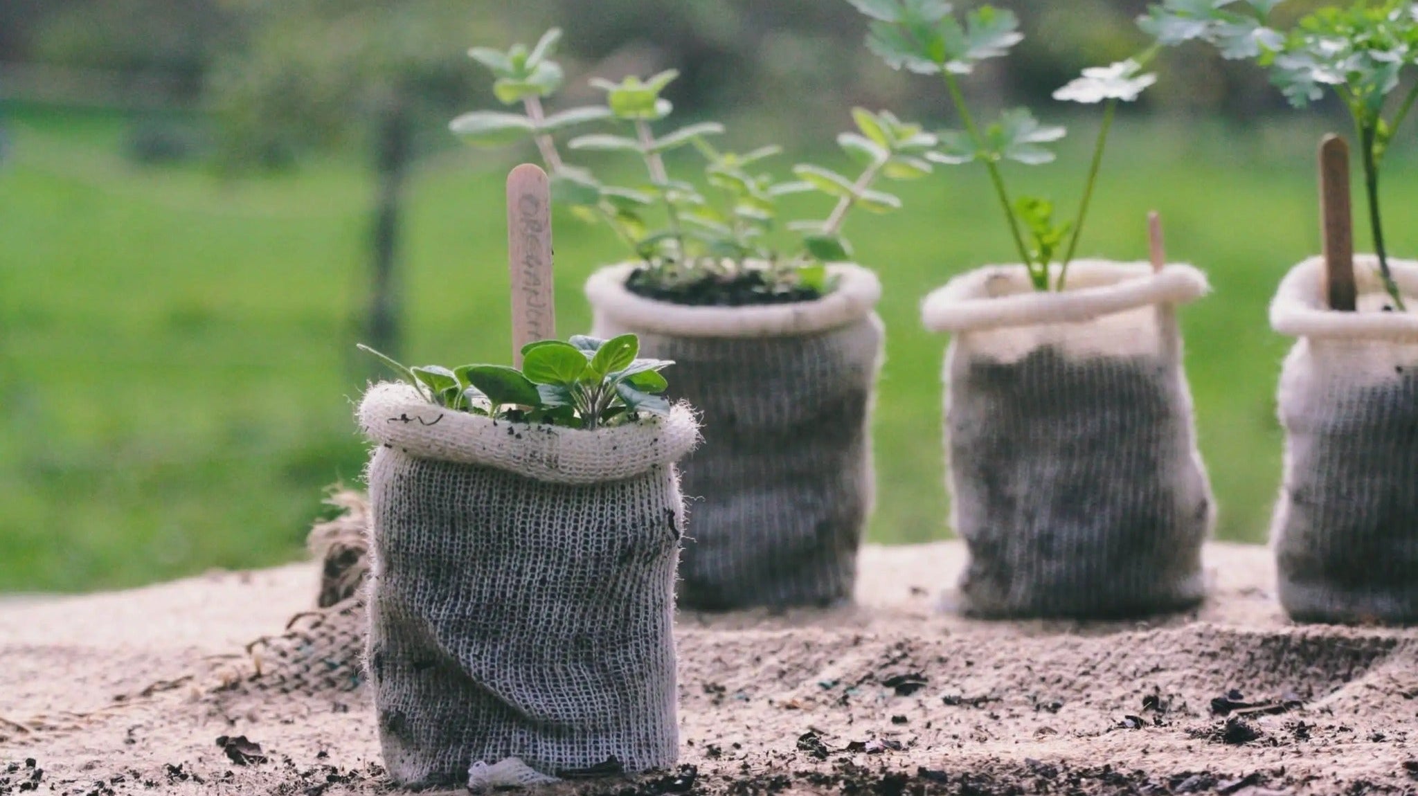 Wool Pots