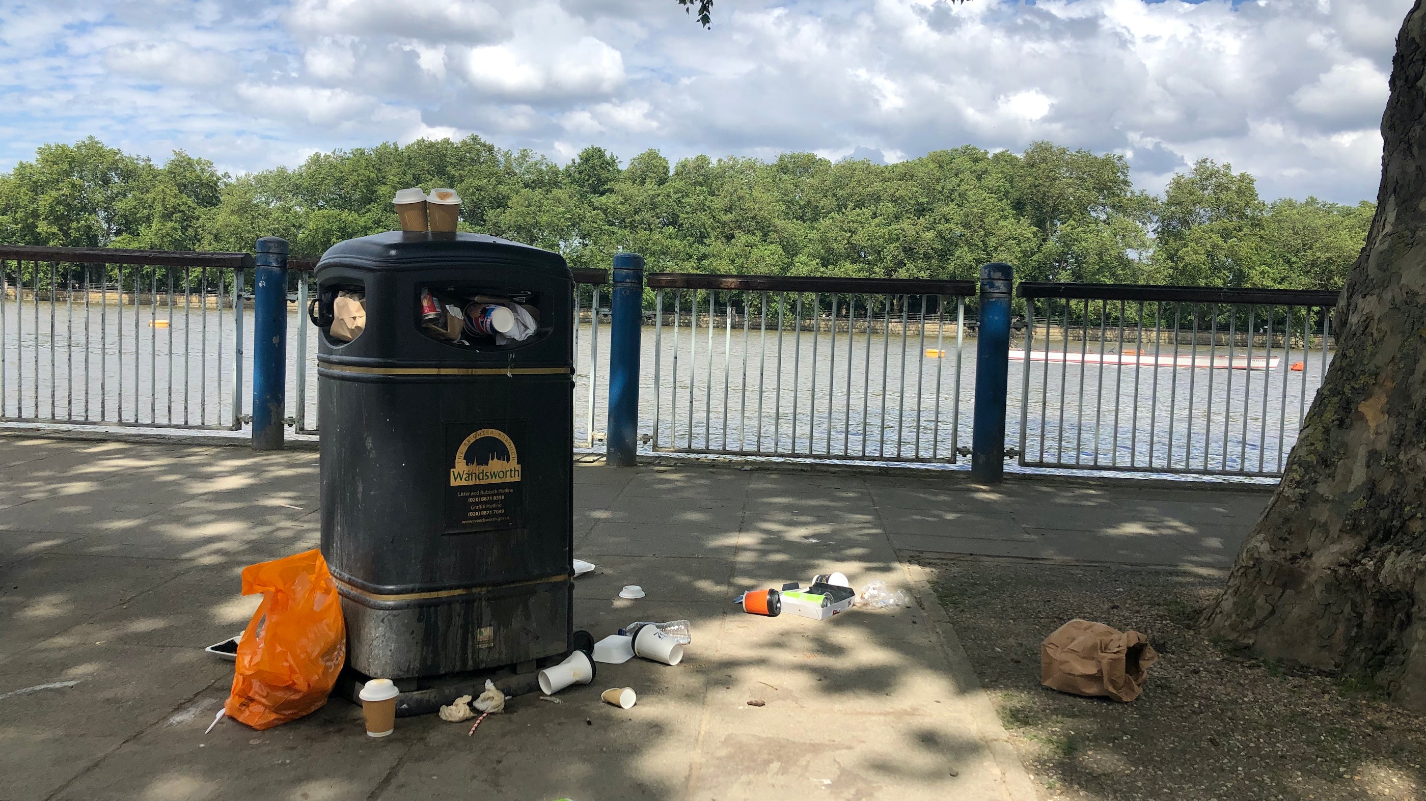 What a Load of Rubbish