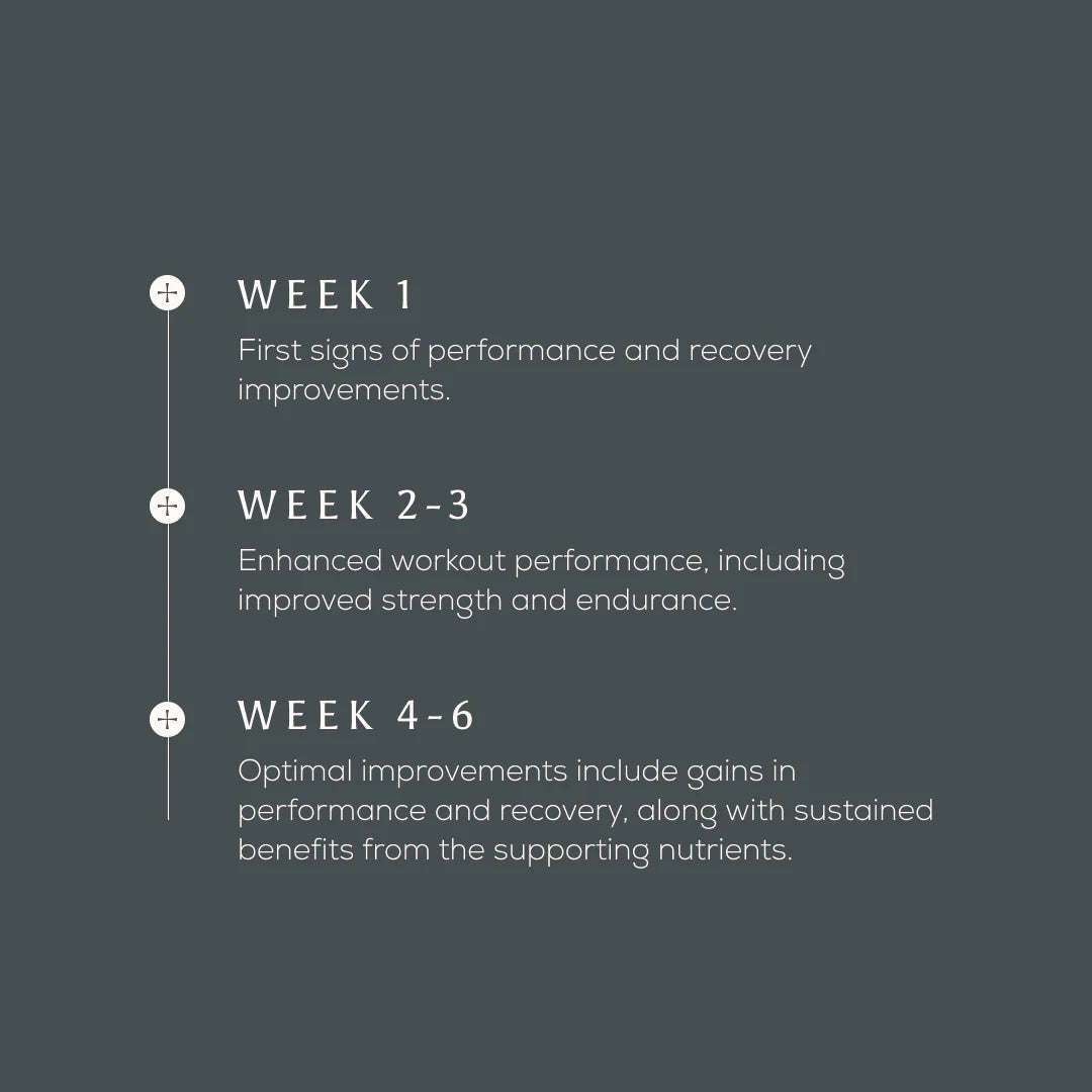 Ancient + Brave True Creatine+ Powder