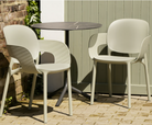 Andrew Martin Lewis Set of 2 Outdoor Dining Chairs with Arms in Sage