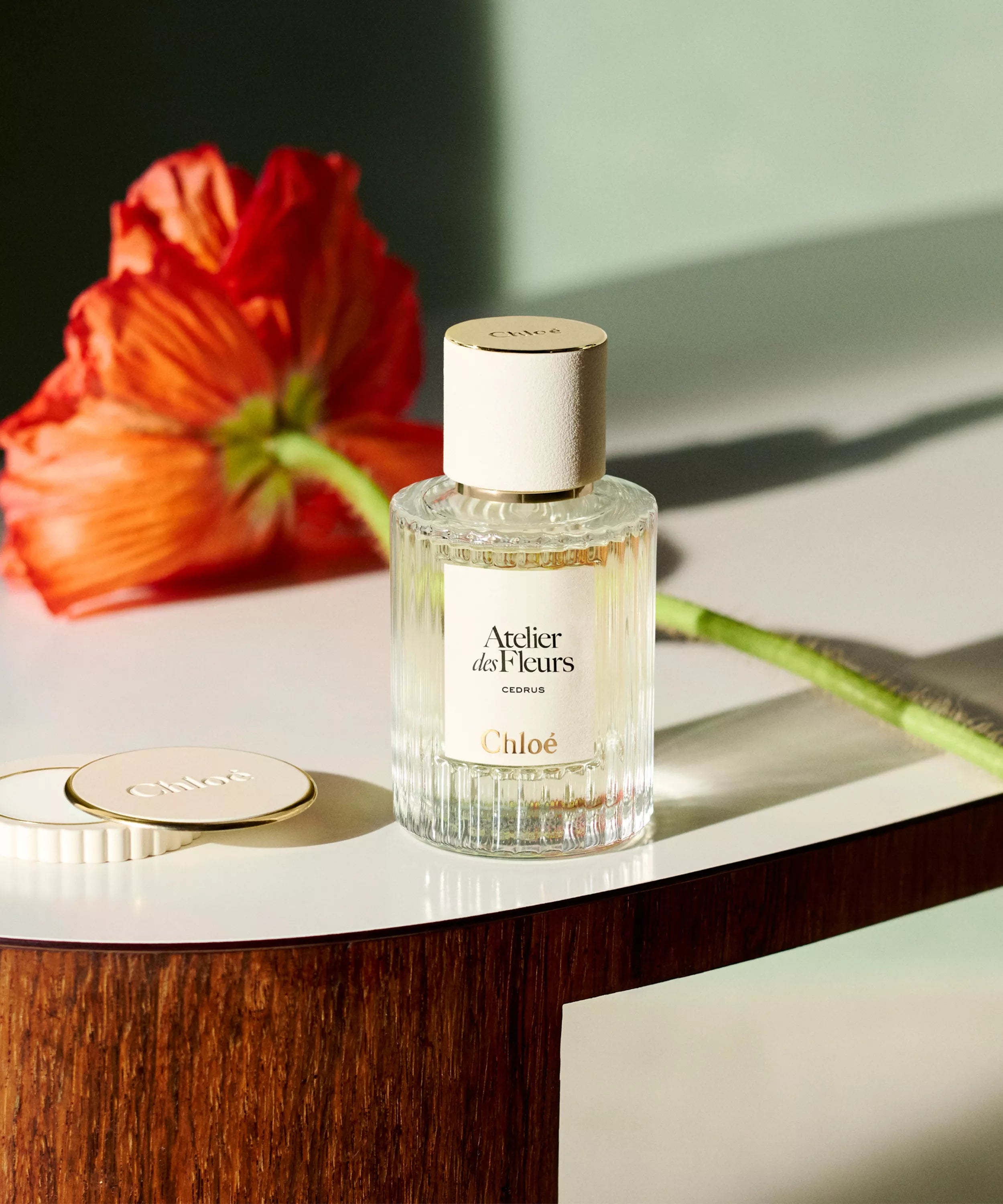 Chloé Atelier des Fleurs Cedrus Solid Perfume 3g