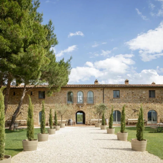 Conti di San Bonifacio, Monteregio, Super Tuscan, 2020