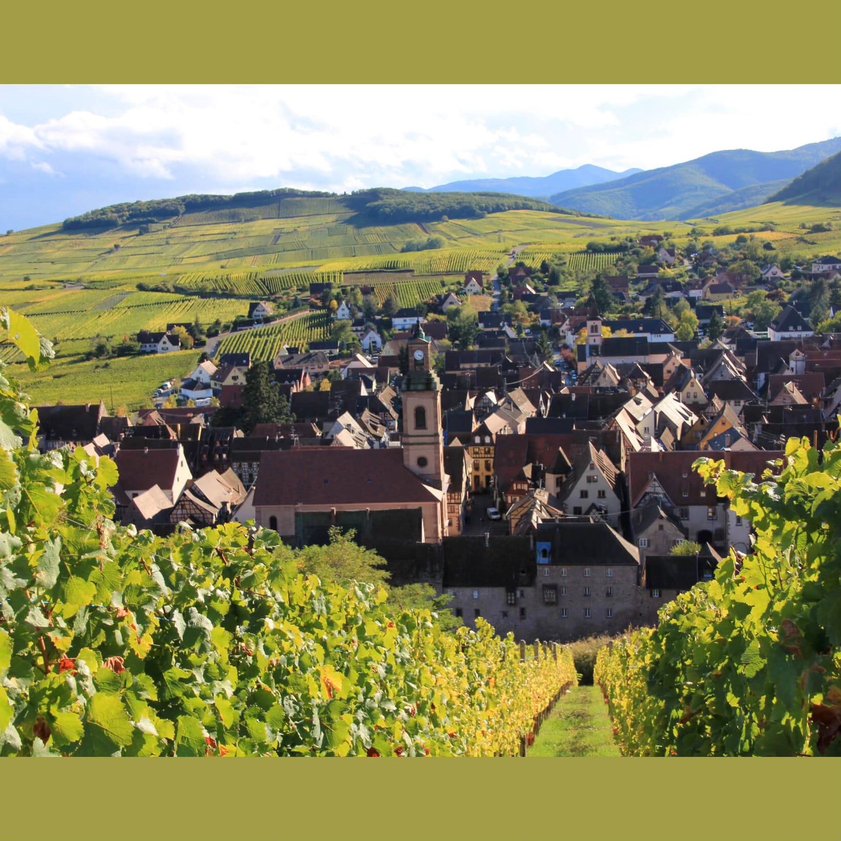 Famille Hugel Classic Riesling 2022/2023 Alsace- Riquewihr town