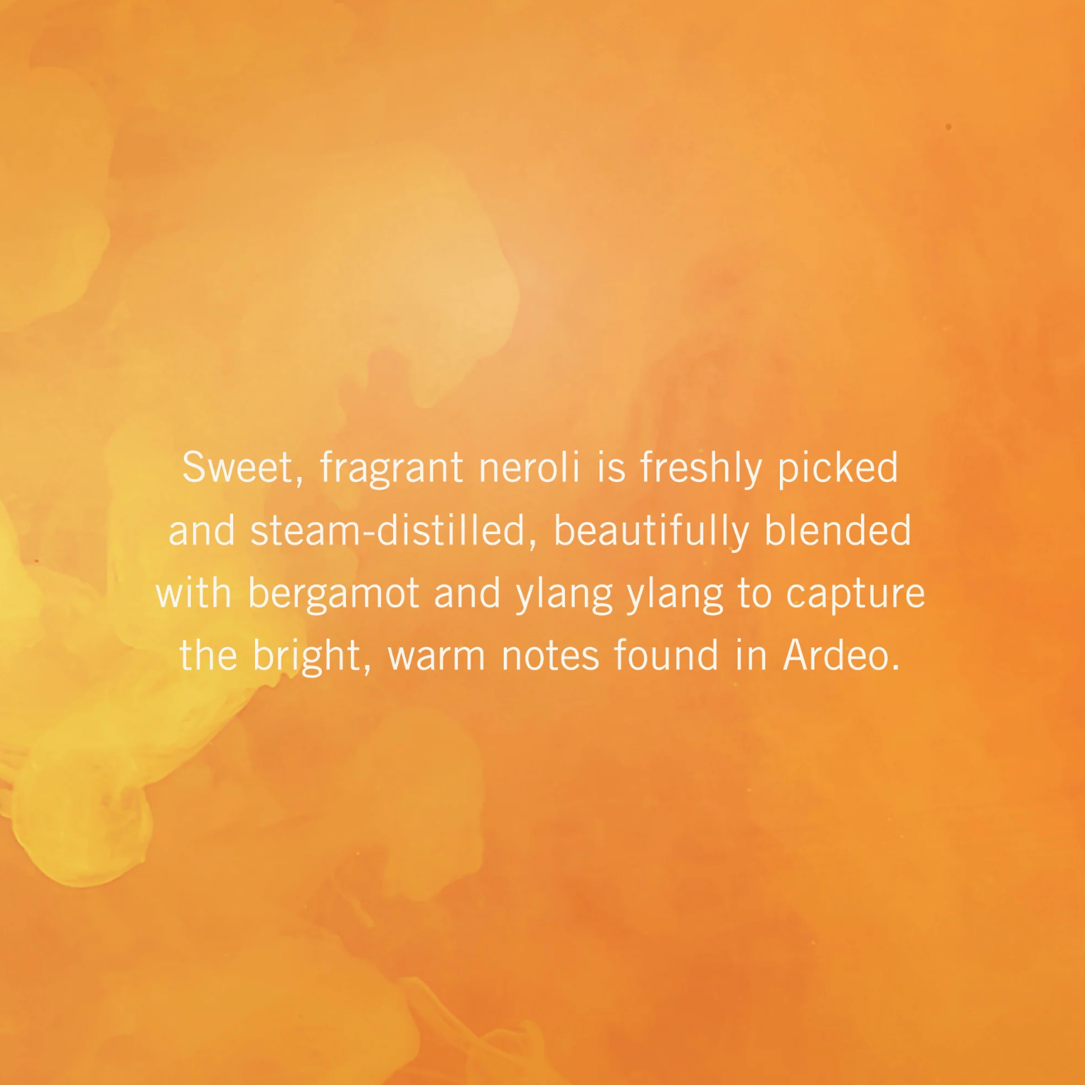 Neal's Yard Remedies Ardeo Eau de Parfum 50ml