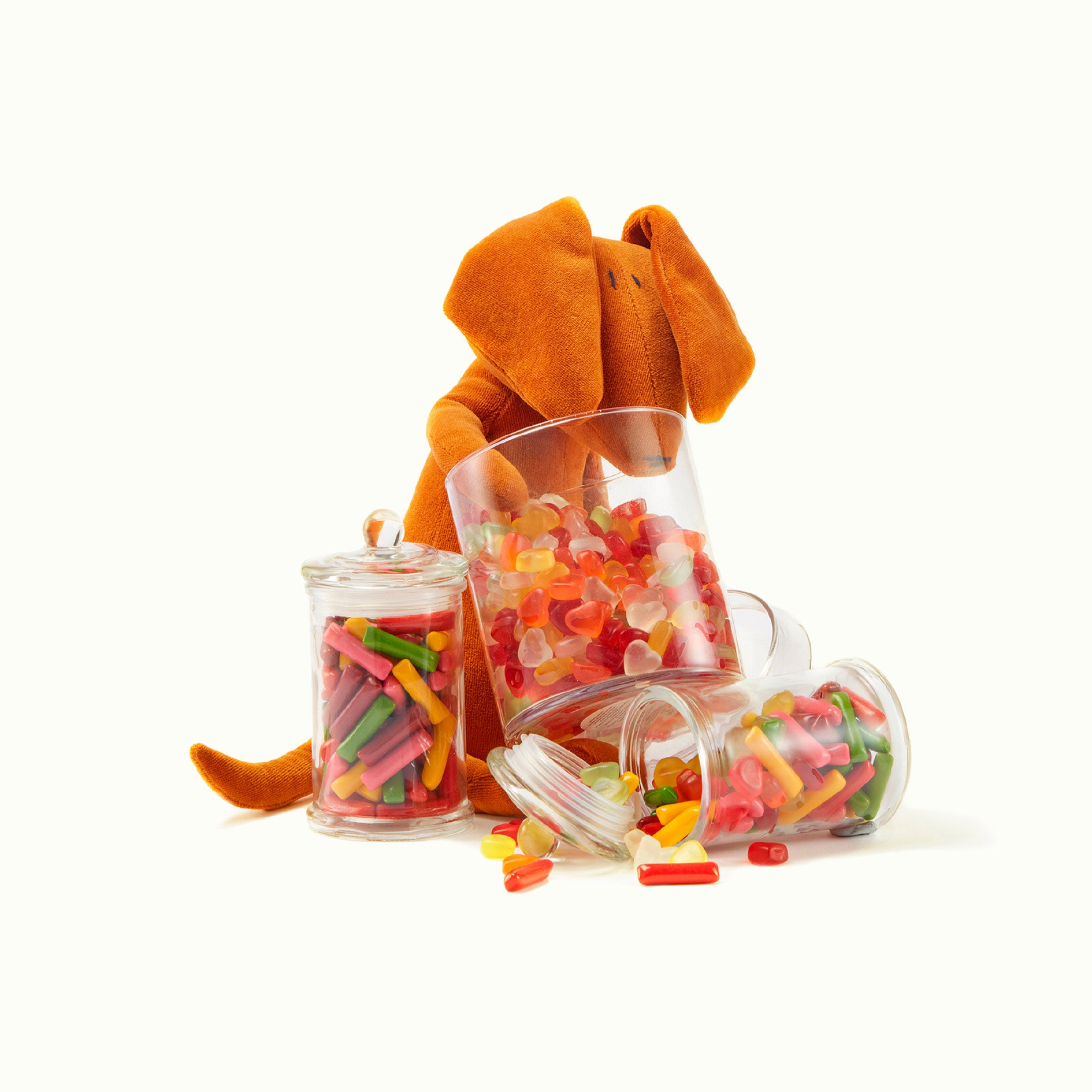 Scott The Dachshund Teddy (large) by Adada
