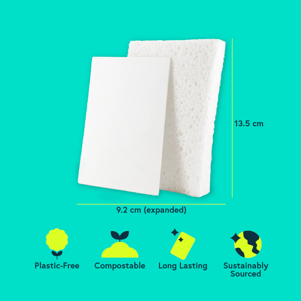 Seep Eco Pop-Up Sponges (6 sponges)