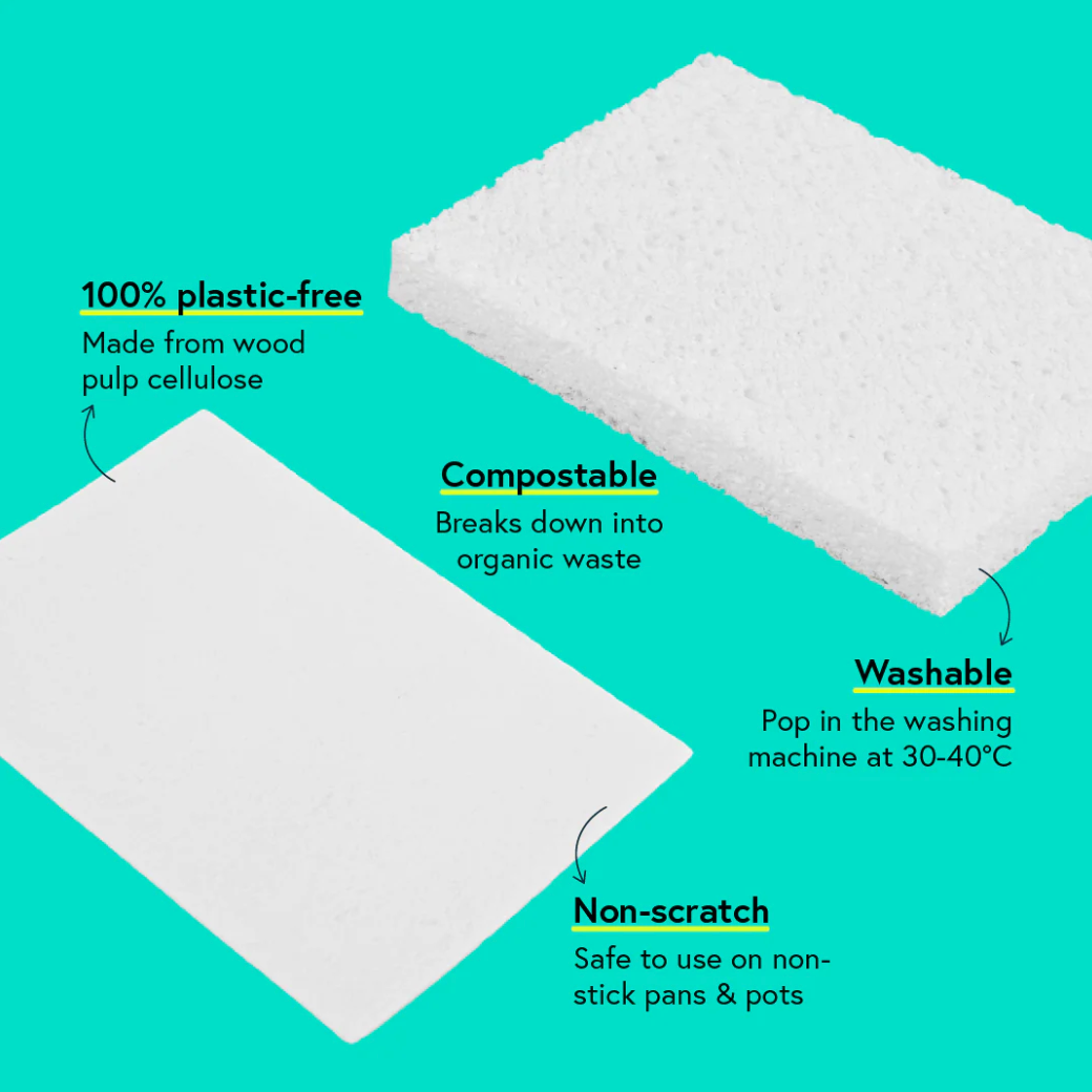 Seep Eco Pop-Up Sponges (6 sponges)