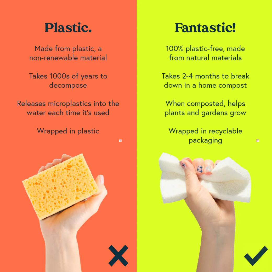 Seep Eco Pop-Up Sponges (6 sponges)