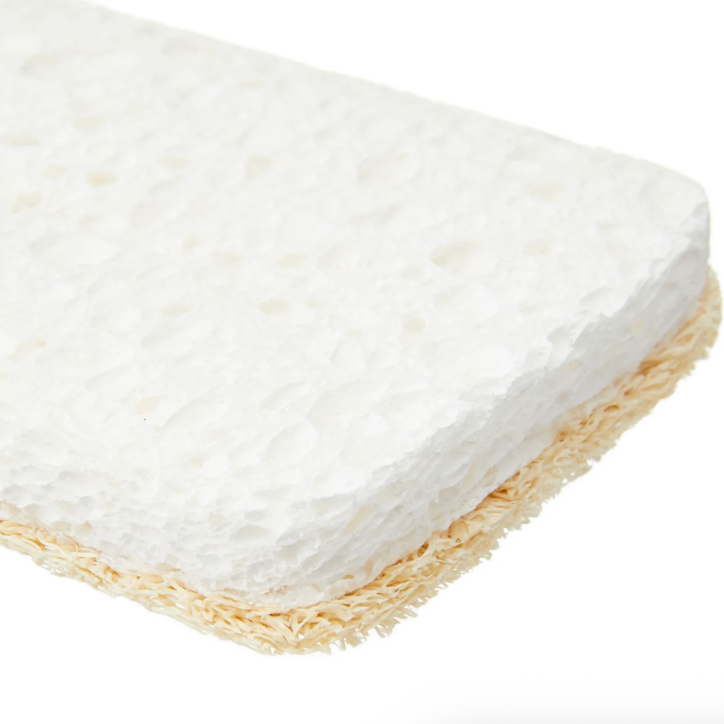 Seep Eco Sponge Scourers (4 sponges)