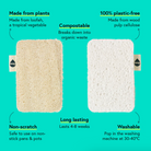 Seep Eco Sponge Scourers (4 sponges)