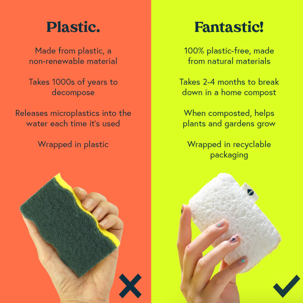 Seep Eco Sponge Scourers (4 sponges)