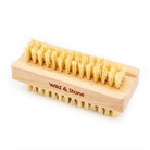 Wild & Stone Biodegradable Natural Bristle Nail Brush