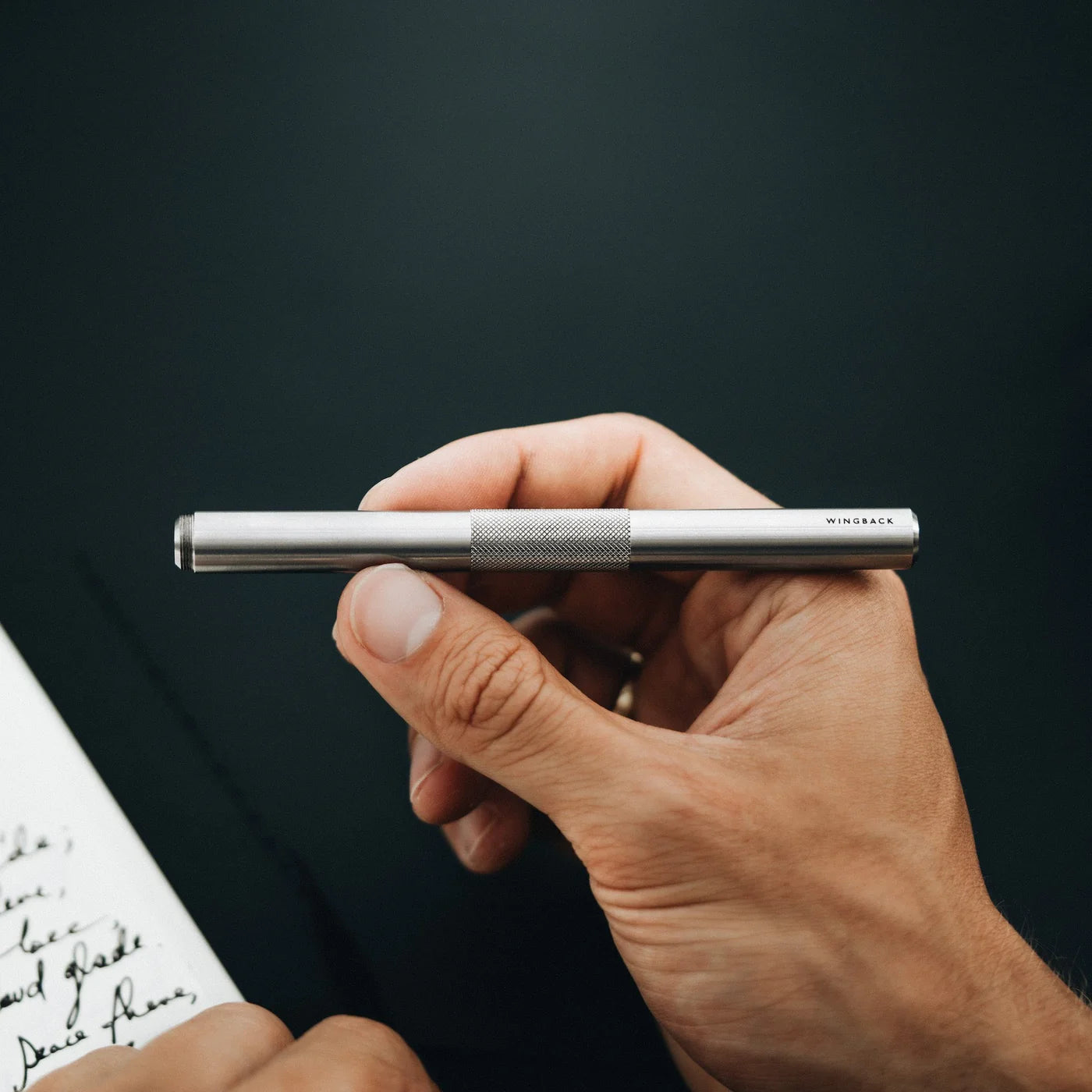 Wingback Fountain Pen in Steel