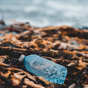 Image of a transparent plastic bottle on the floor. The floor is made up of wooden sticks and brown leaves, there is a grey blurred colour in the deep background.