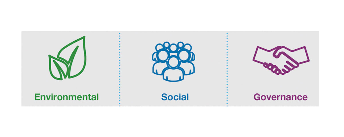 ESG Environmental Social Corporate Governance