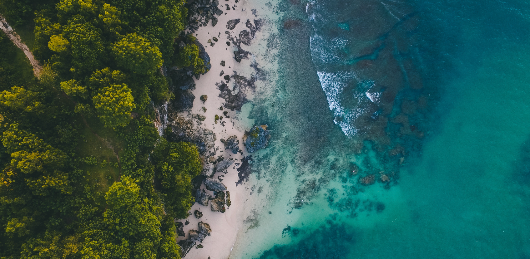 20 Thought Provoking Eco Conscious Quotes About Sustainability