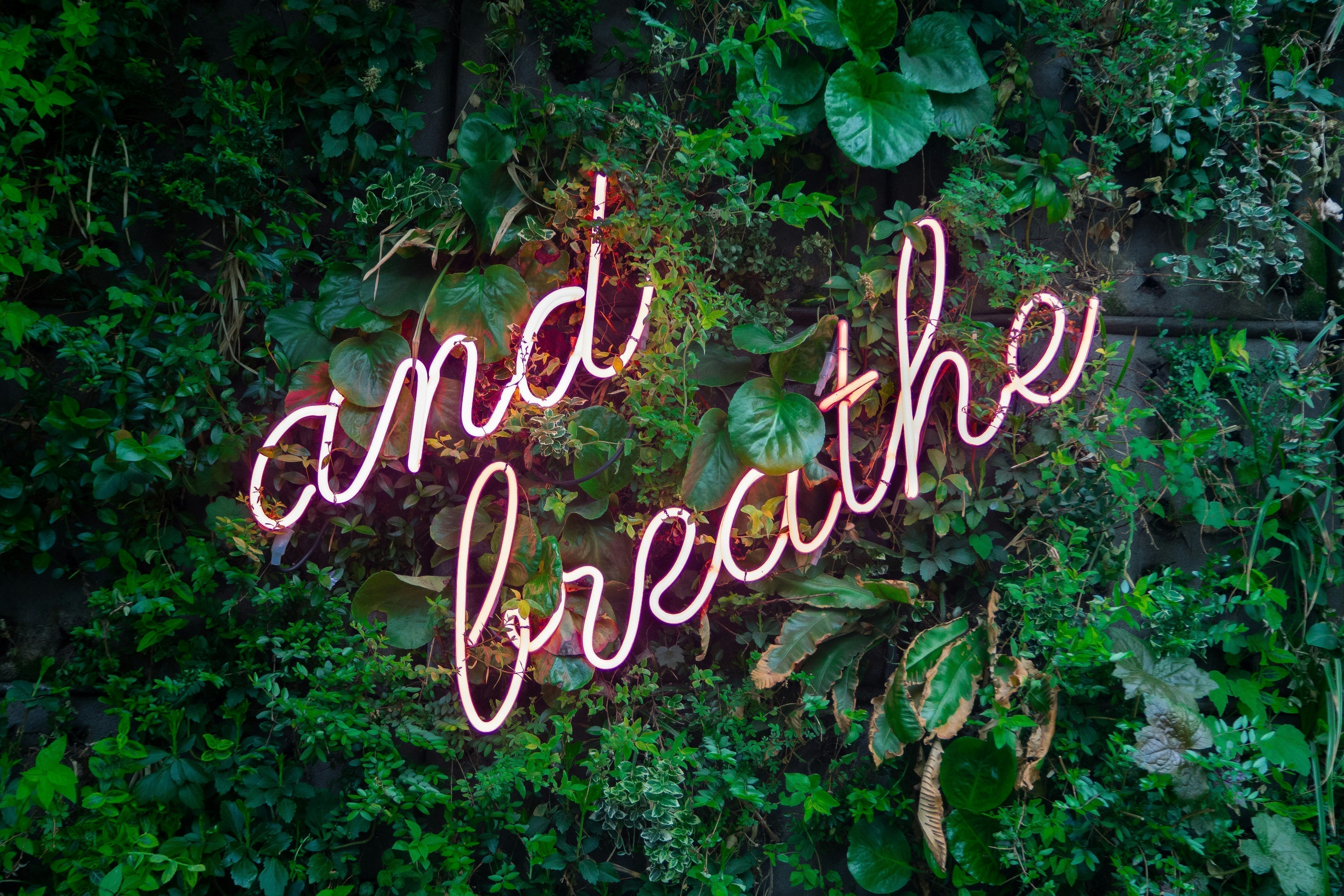Consumers Are Less Eco-Conscious Today by Ateliers Verts
