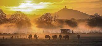 Somerset Creates a Template for Connecting Consumers Direct to Sustainable Food Producers