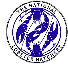 The National Lobster Hatchery