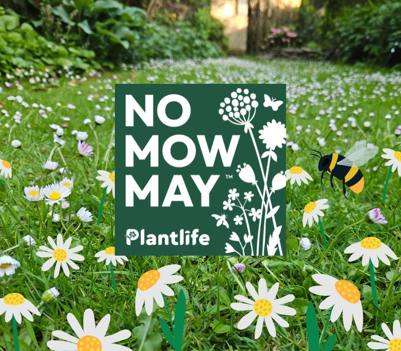 Top 10 Eco-Conscious Days of May 2026 by Ateliers Verts