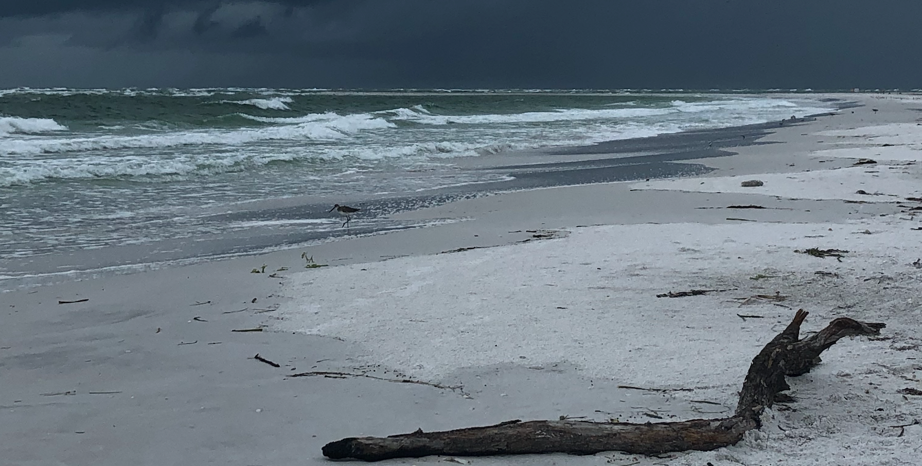 North Lido Beach, Sarasota USA by Ateliers Verts, Andrew Levy July 2019