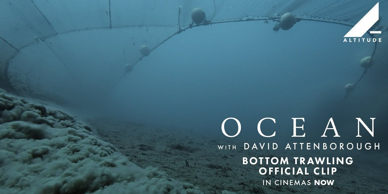 Ocean with David Attenborough is a Silverback Films and Open Planet Studios co-production, in association with All3Media International, National Geographic, and Minderoo Pictures.