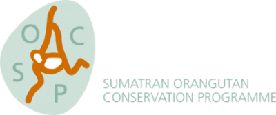 Sumatran Orangutan Conservation Programme