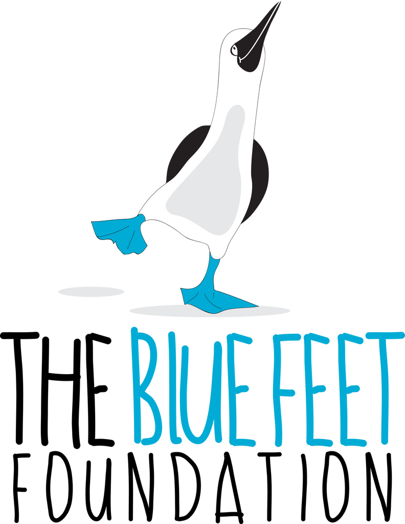 The Blue Feet Foundation