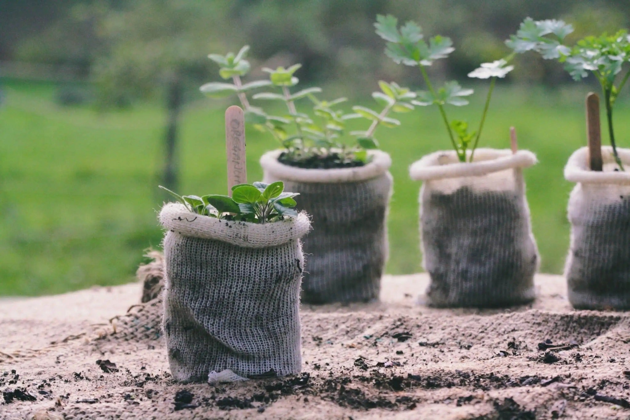 Wool Pots