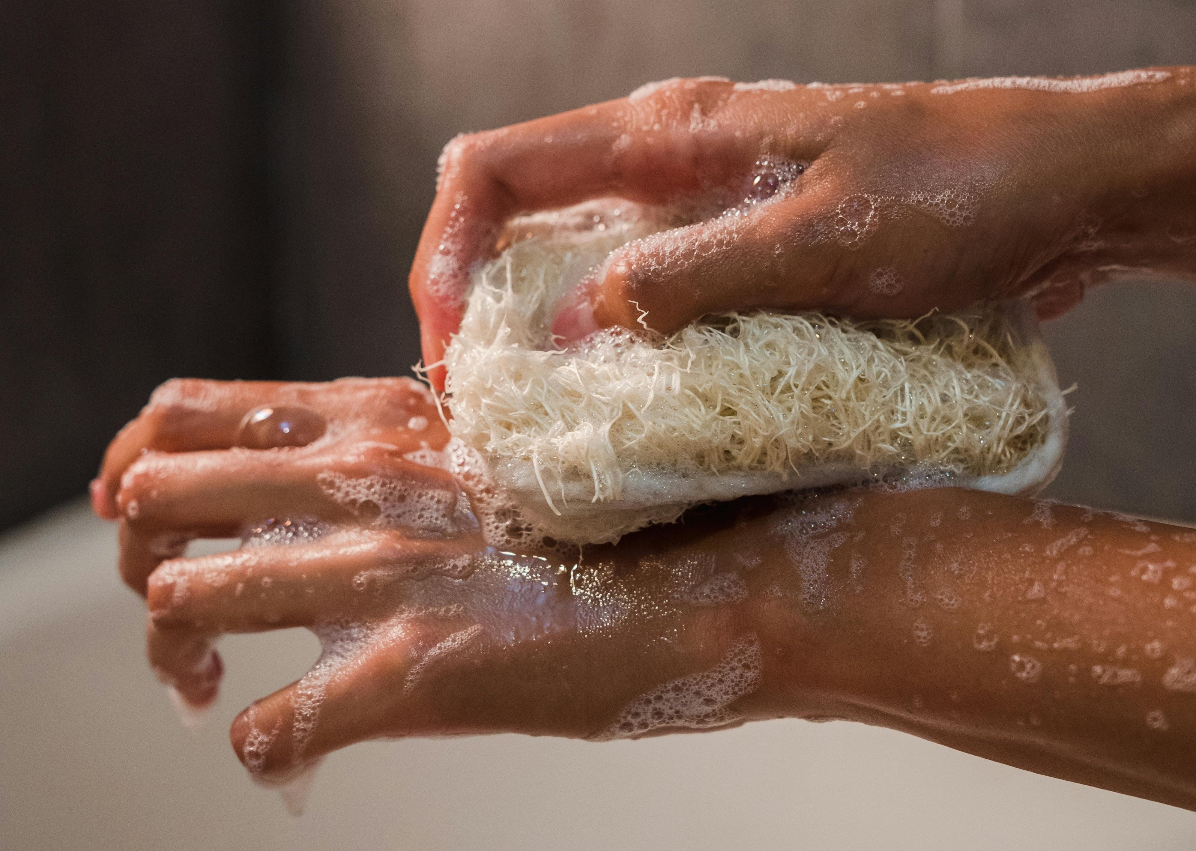 Ateliers Verts Hand Washing picture by Greta Hoffman on Pexels