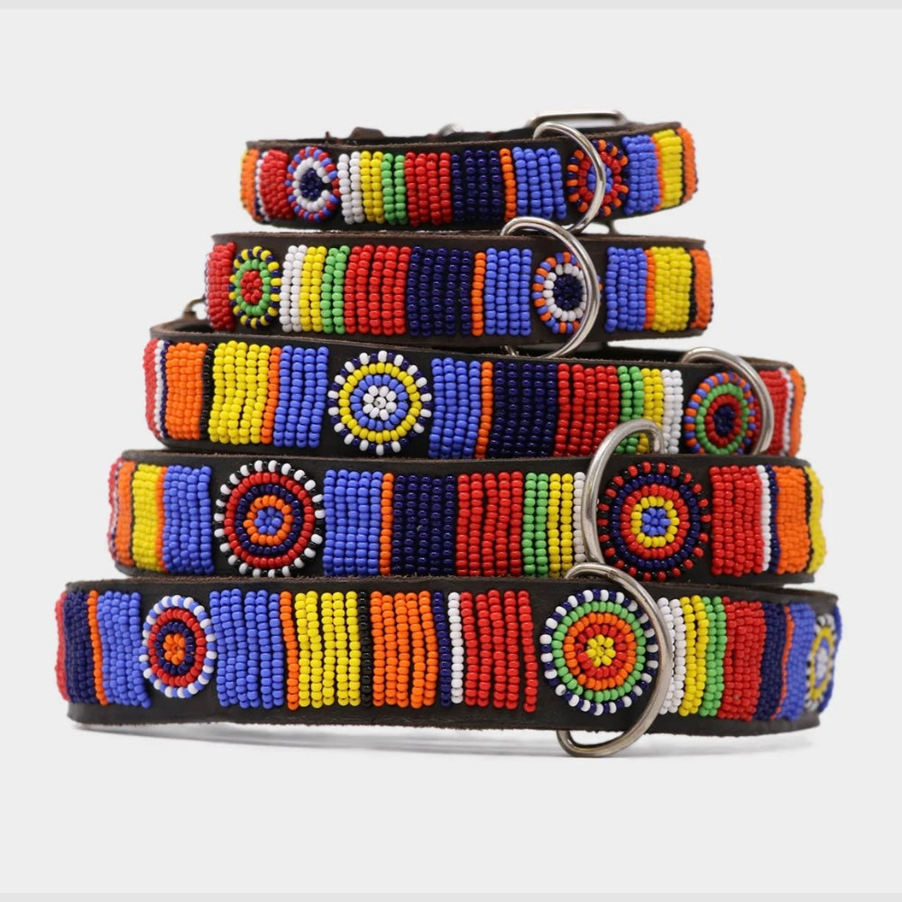 ASPIGA Dog Collar Masai