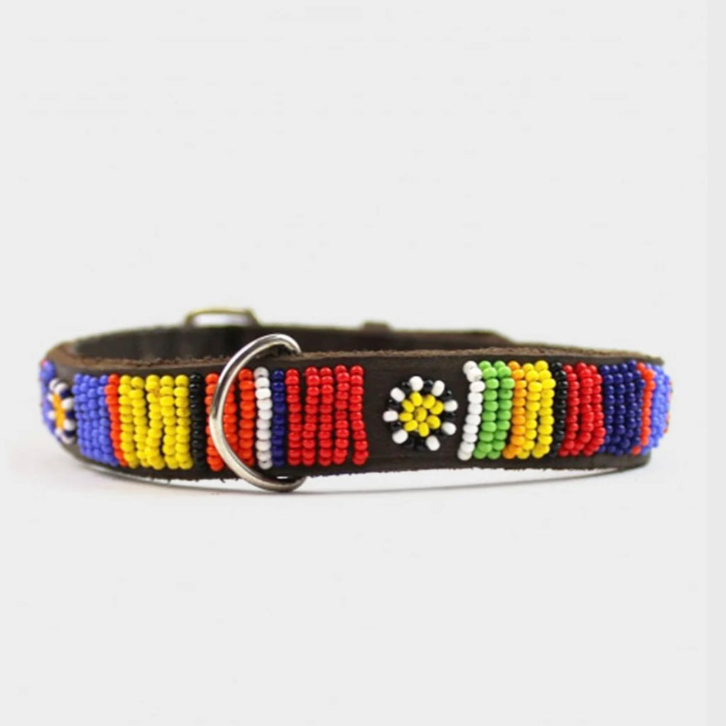 ASPIGA Dog Collar Masai