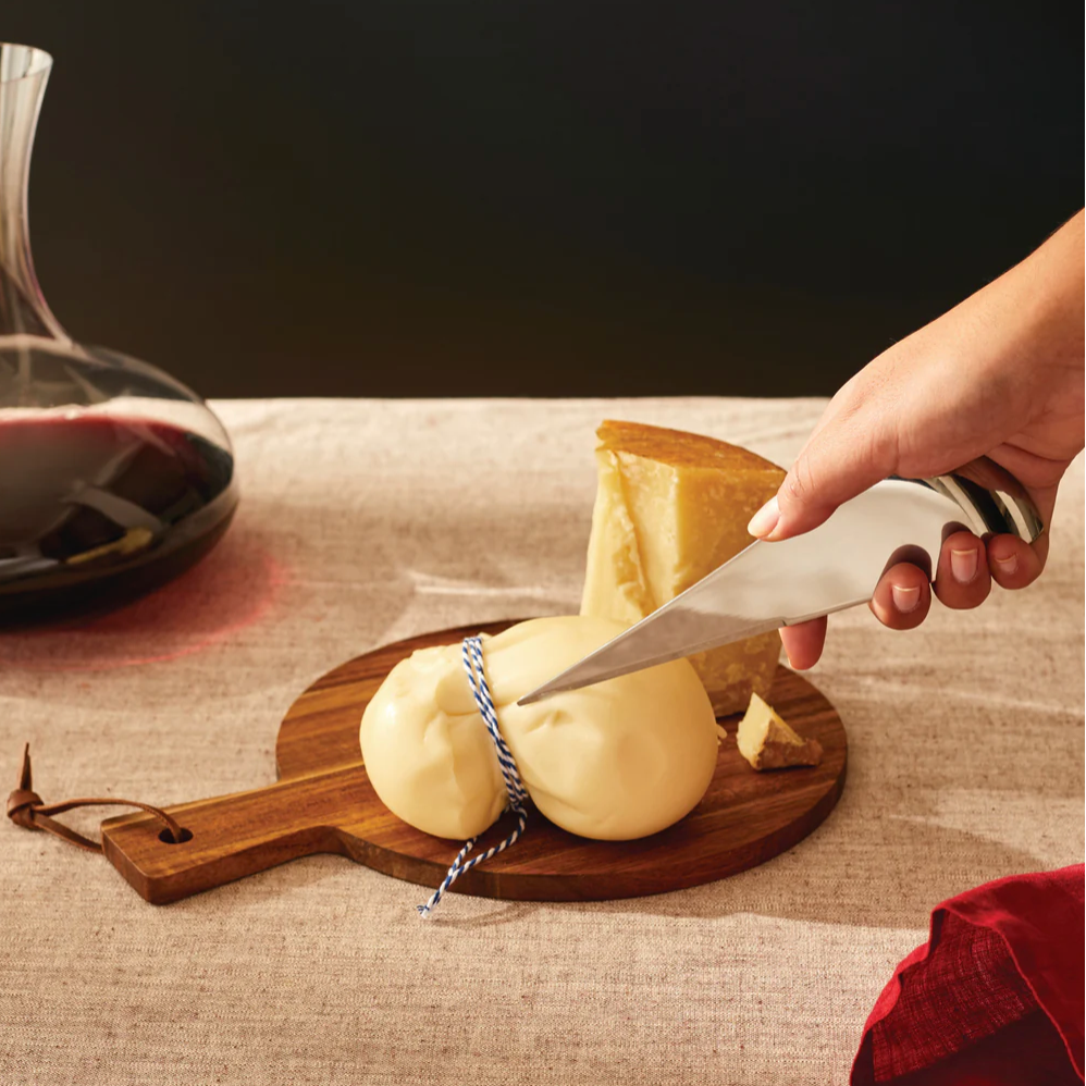 Alessi Cheese Knife
