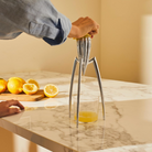 Alessi Juicy Salif Citrus Juicer