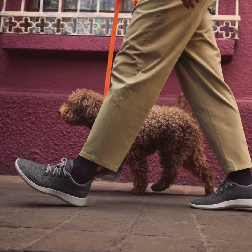 Allbirds Men's Wool Runners