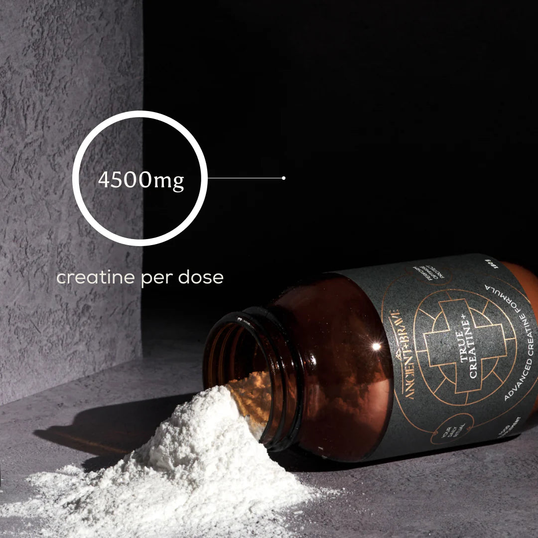 Ancient + Brave True Creatine+ Powder