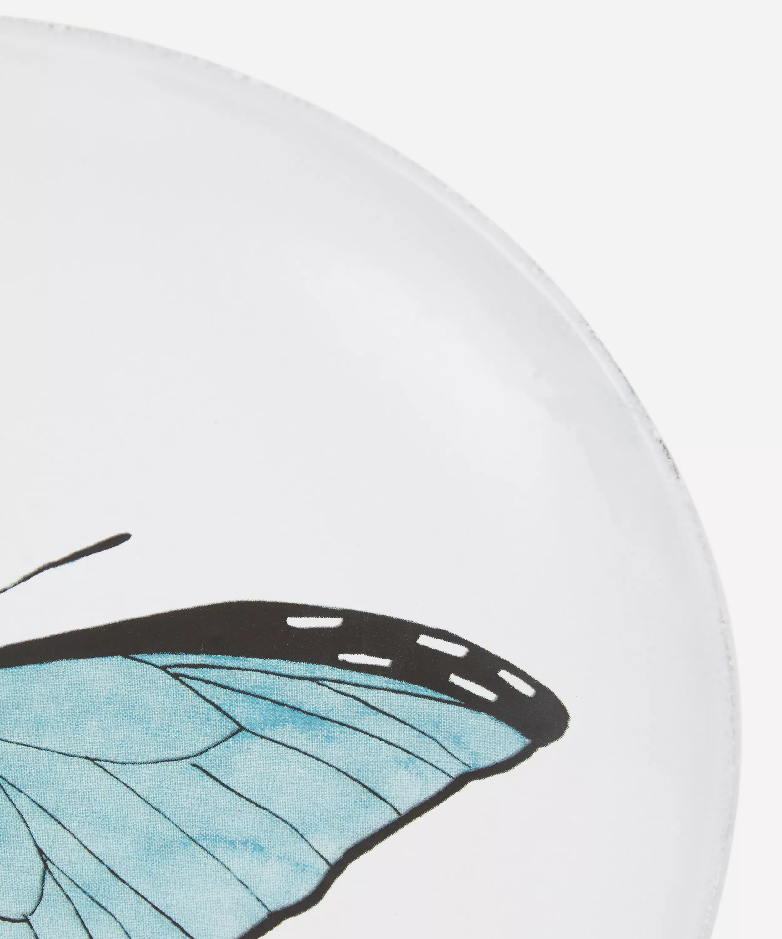Astier de Villatte Butterfly Dinner Plate