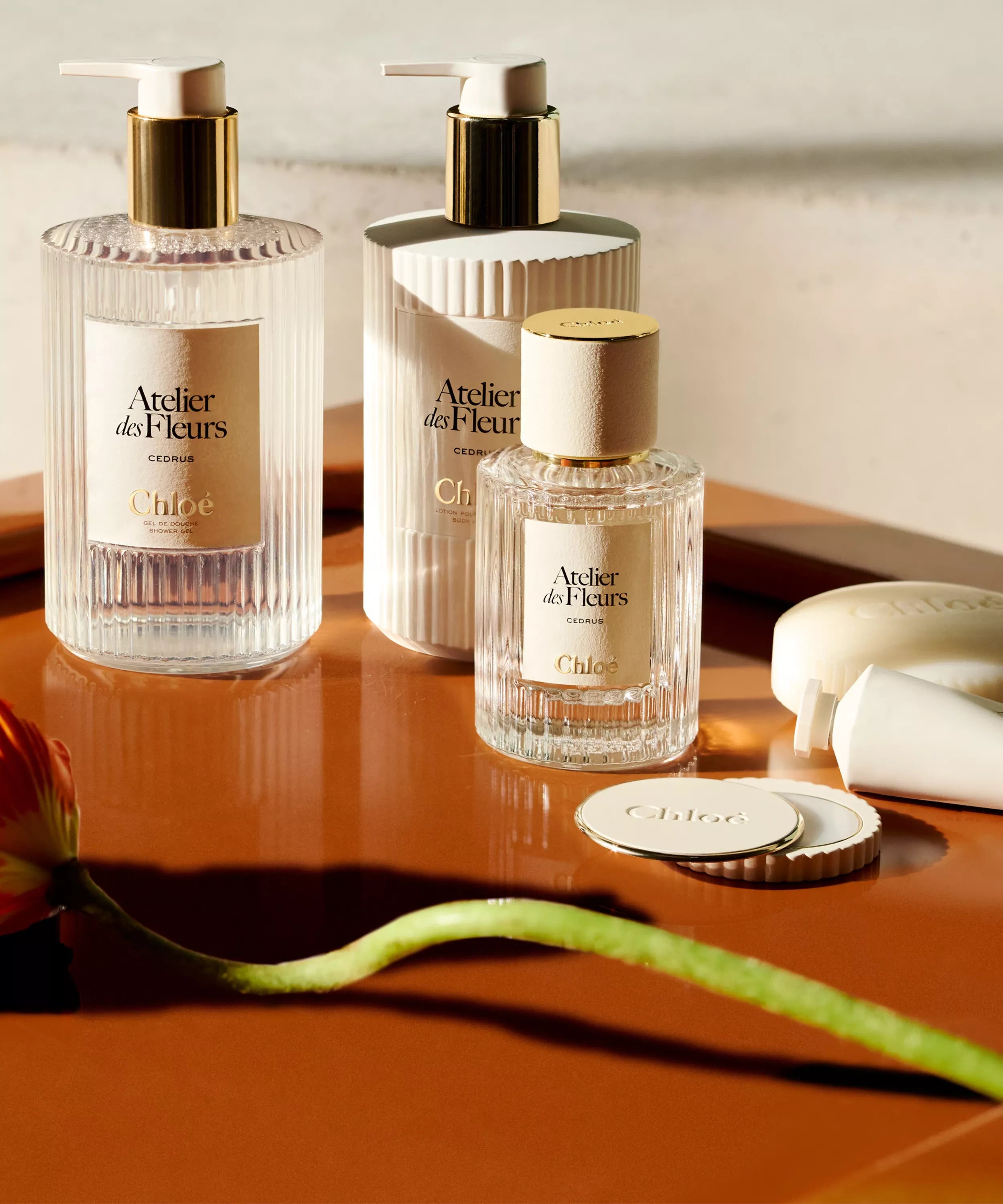 Chloé Atelier des Fleurs Cedrus Solid Perfume 3g