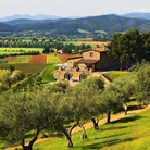 Conti di San Bonifacio, Monteregio, Super Tuscan, 2020